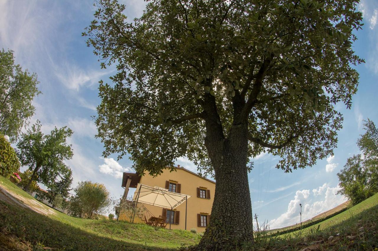 Agriturismo San Giuseppe Вольтерра Экстерьер фото